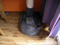 Ninja's Cat Cam