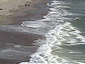 Hurricane Cam