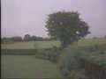Forest of Dean Countryside Cam