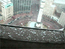 Webcam | Falcon Cam