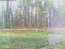 Webcam | Camp Bear