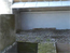 Webcam | Gulf Tower Falcon Cam