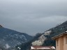 Webcam | Collodi