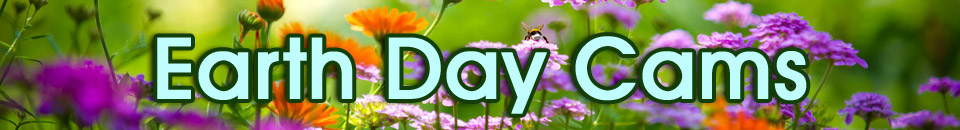Earth Day