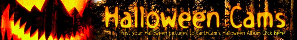 Halloween Cams