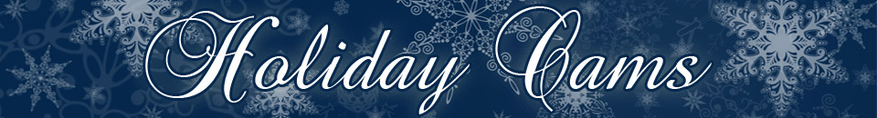 Holiday Cams