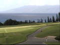 View the Maui Cam!