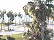 View the Venice Beach Cam!