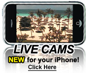 Live Cams