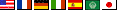 Translation Flags