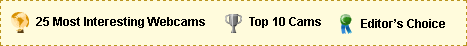 Award Icons