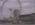River Thames