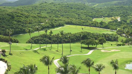 El Conquistador Resort - El Yunque Rainforest