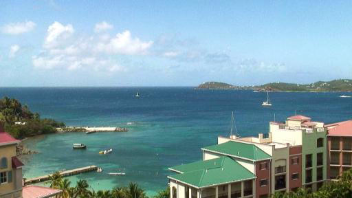 Frenchman's Cove Cam