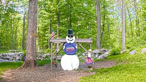 Michigan Snowman Cam