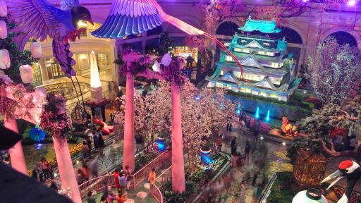 Bellagio Conservatory Cam