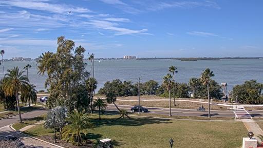 Dunedin Cam