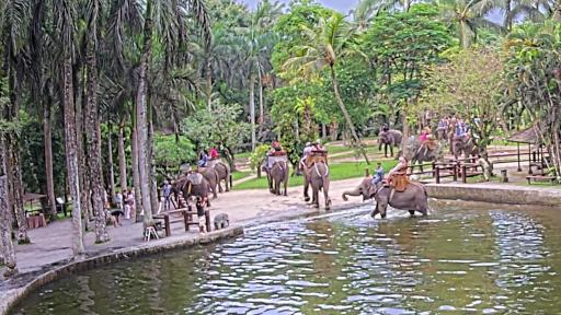 Bali Elephant Cam Bathing Pool