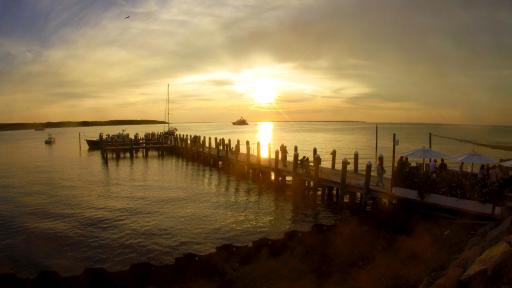 Montauk Cam