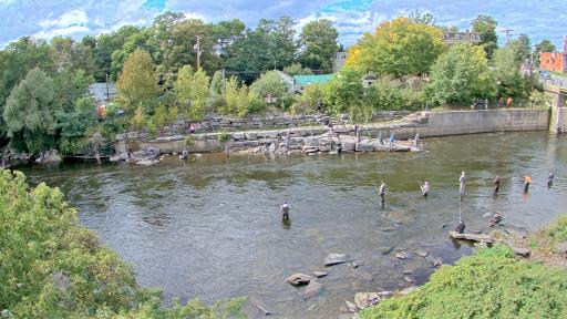 Salmon Fishing Cam