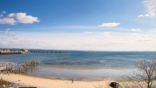 Cape Cod Bay Cam