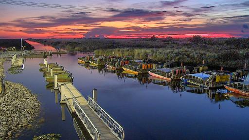 Everglades Cam