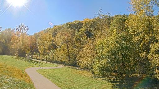 Brown County Leaf Cam