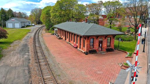McCleery Wolf Sculpture Cam