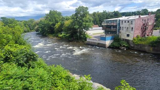 Salmon River Cam