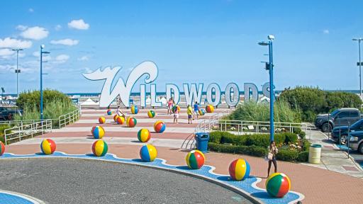 Wildwoods Cam