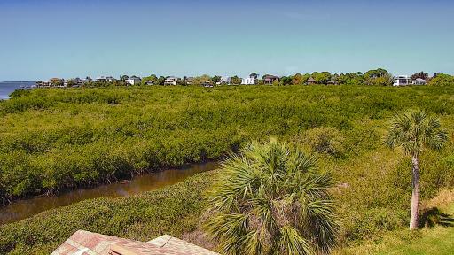 Nature Preserve Cam