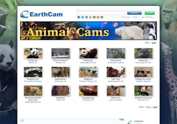 EarthCam - Animal Cams