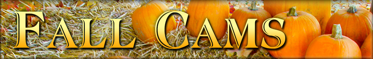 EarthCam - Fall Foliage Cams