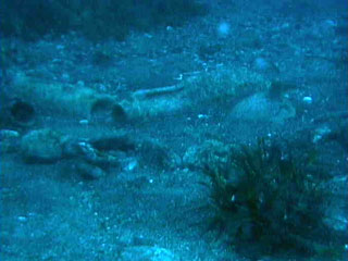 Deep Sea Underwater Cam