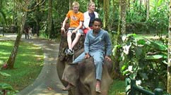 Bali Elephant Tours Trail Path