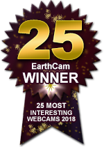 Winner EarthCam's 25 Most Interesting Webcams 2018 Winner EarthCam's 25 Most Interesting Webcams 2018